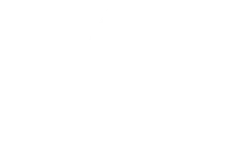 Logo Dom Growth